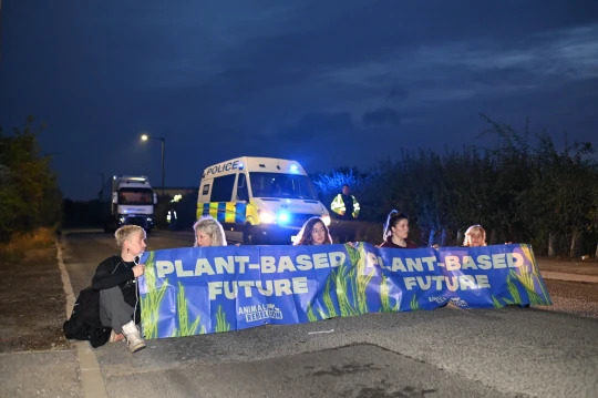 Milk shortages ‘inevitable’ if vegan protesters blockade dairy sites - Dairy News 7X7
