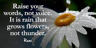 Raise your words not voice - Dairy News 7X7