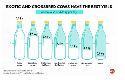 Cows moo past buffaloes as India’s milk supply champions - Dairy News 7X7