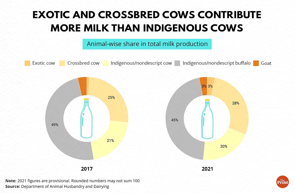 Cows moo past buffaloes as India’s milk supply champions - Dairy News 7X7