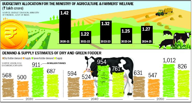 DAIRY NEWSDAIRY POLICY Fodder challenges offer much food for thought - Dairy News 7X7