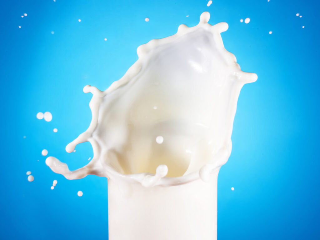 Senara Emerges as Europe’s First Cultured Dairy Startup - Dairy News 7X7
