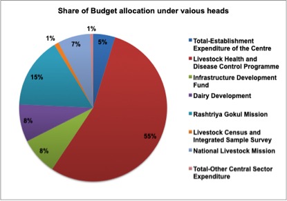 Budget allocation Share FY 25