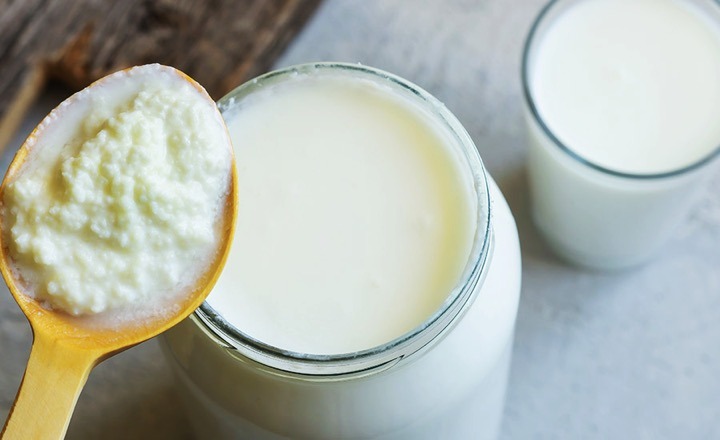 fermented milk products gut health dairynews7x7