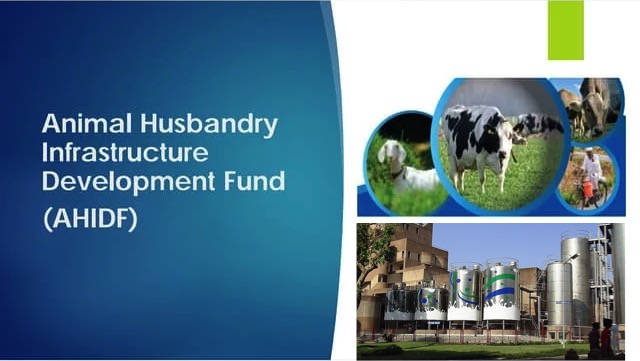ahidf scheme tightens dairynews7x7