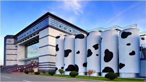 china dairy grows dairynews7x7