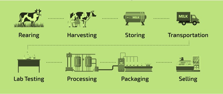 dairy supply chain disruption dairynews7x7