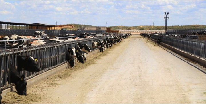 will milk producer growin US dairynews7x7