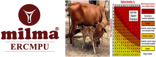 ERCMPU heat index insurance dairynews7x7
