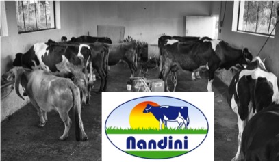 kmf urges milk subsidy release dairynews7x7