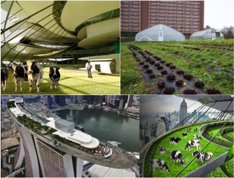 urban farming blog dairynews7x7