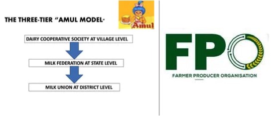 Amul 3 tier model fpo dairynews7x7