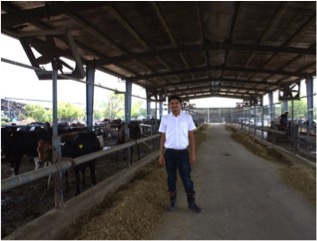 The NZ dairy expert, the remote rural Indian village, and a trade lesson 11 Binsar farms NZ dairy trade lesson dairynews7x7