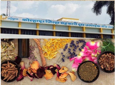 Gokul Dairy sets up Herbal medicine plant for Livestock 8 kolhapur gokul sets up herbal medicine plant dairynews7x7