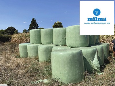 Subsidy on Silage Feed for dairy farmers by MILMA 3 milma subsidy on silage feed dairynews7x7