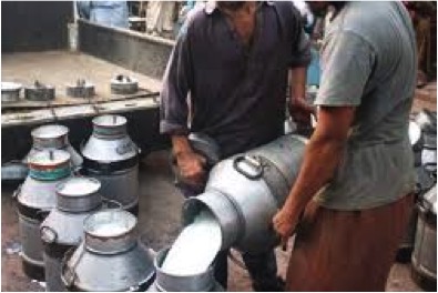 One in seven samples of loose milk failed in Punjab 11 14% loose milk in Punjab adulterated dairynews7x7