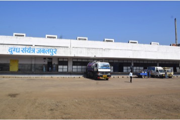 NDDB developing Business Plan to revive MP state dairy cooperative 1 MP dairy fed revival NDDB dairynews7x7