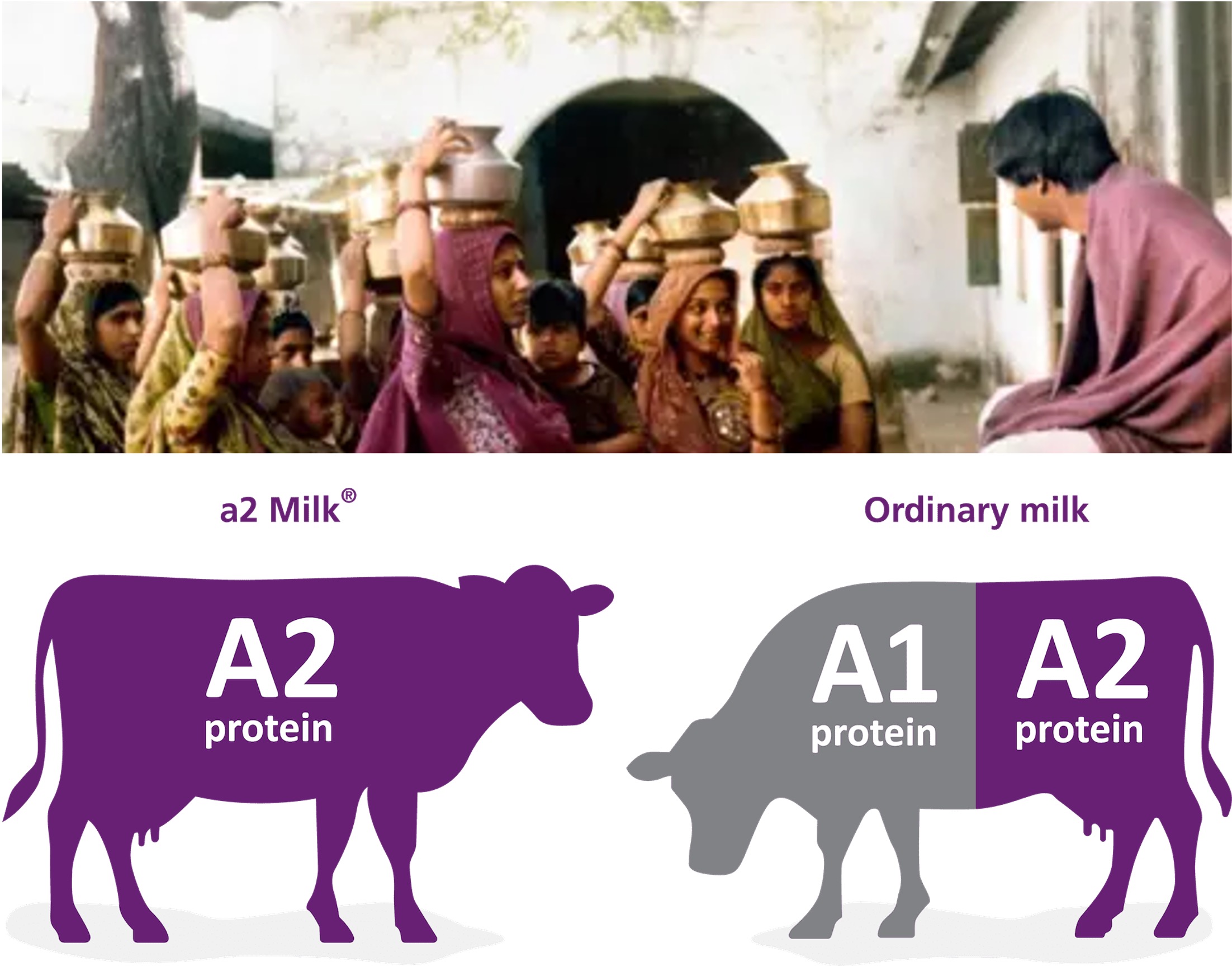 fssai notification a2 milk dairynews7x7