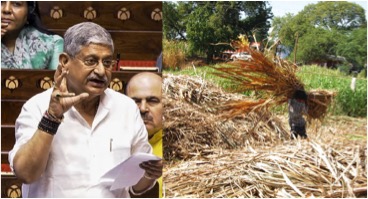 India has shortage of animal fodder: Minister Dairying 5 india lacks fodder dairynews7x7