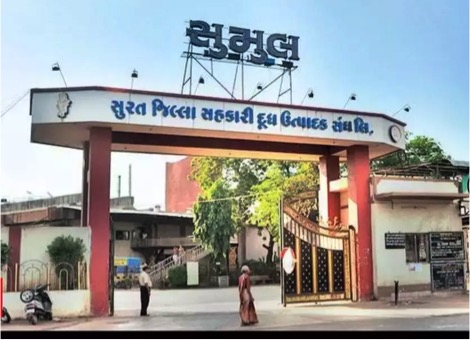 BJP-nominated Jitendra Patel elected as director Sumul Dairy 10 sumul dairy elections dairynews7x7