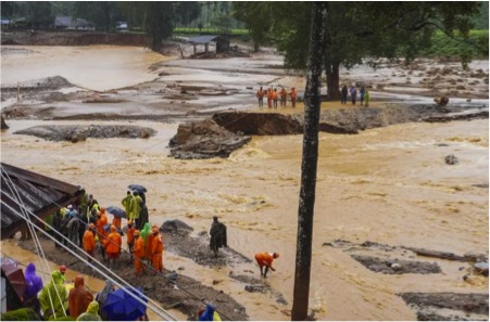 Dairy dept in Wayanad has revealed significant cattle losses 5 wayanad landslide losses in livestock dairynews7x7