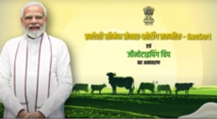 PM Modi Unified genes chip cattle dairynews7x7